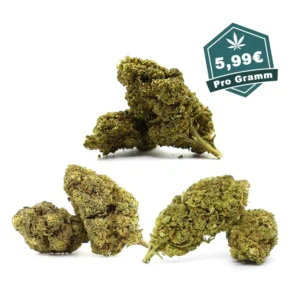 10-Oh Blu¨ten Bundle HD.webp